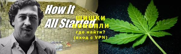 прущие грибы Абдулино