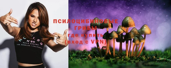 индика Абаза