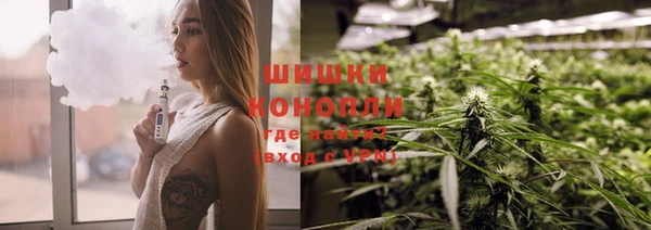 прущие грибы Абдулино