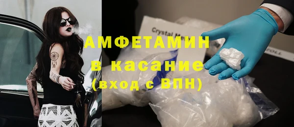 индика Абаза
