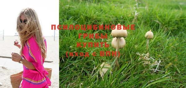 прущие грибы Абдулино
