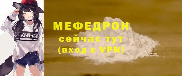 индика Абаза