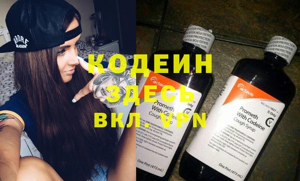 индика Абаза