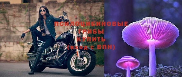 индика Абаза