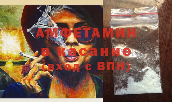 индика Абаза