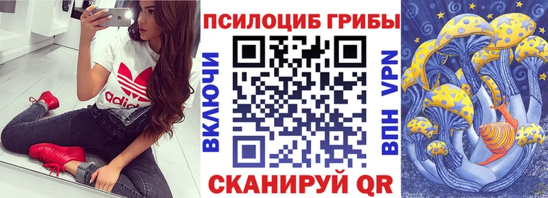 Псилоцибиновые грибы Cubensis  сколько стоит  Юрюзань 
